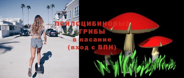 прущие грибы Алзамай