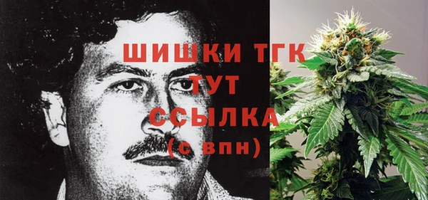 прущие грибы Алзамай