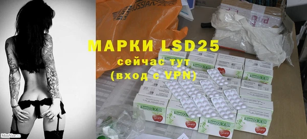 прущие грибы Алзамай